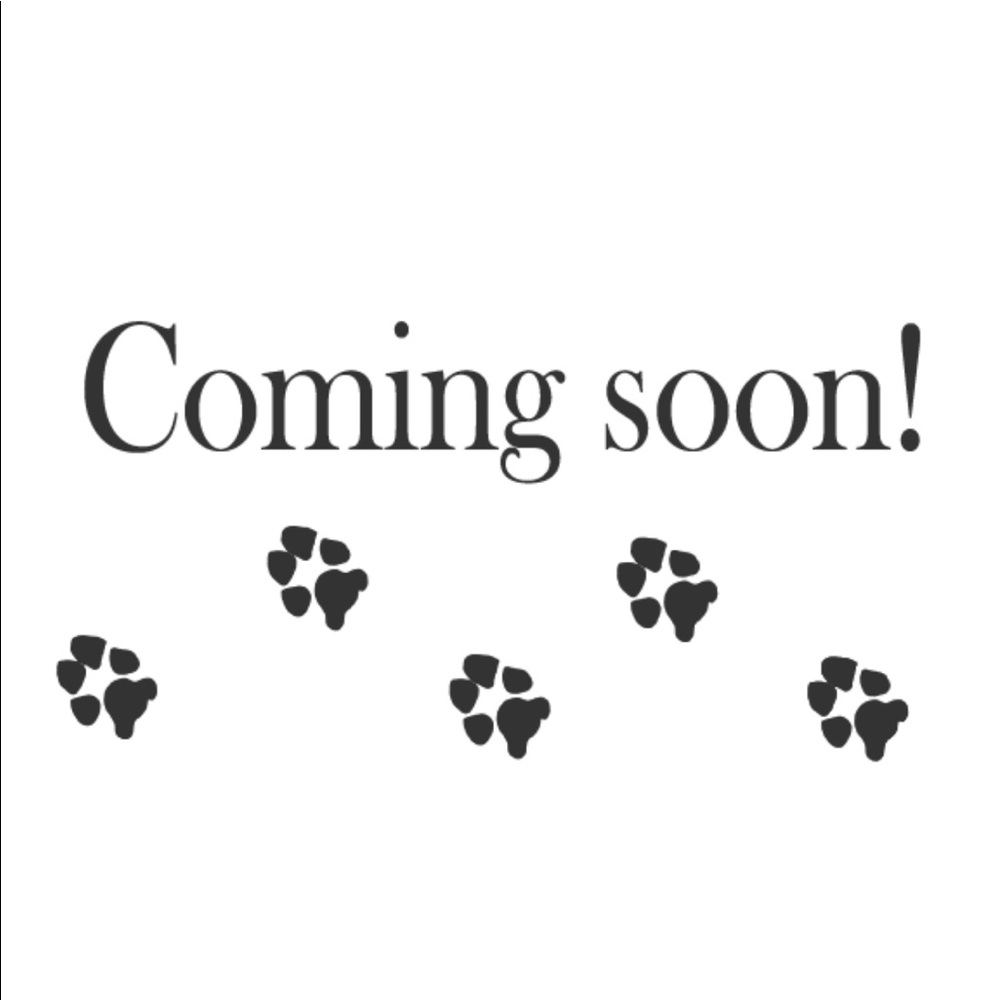 More Items Coming soon! Keep checking back! 🐶🐾❤️